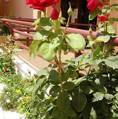 Roig Hotel